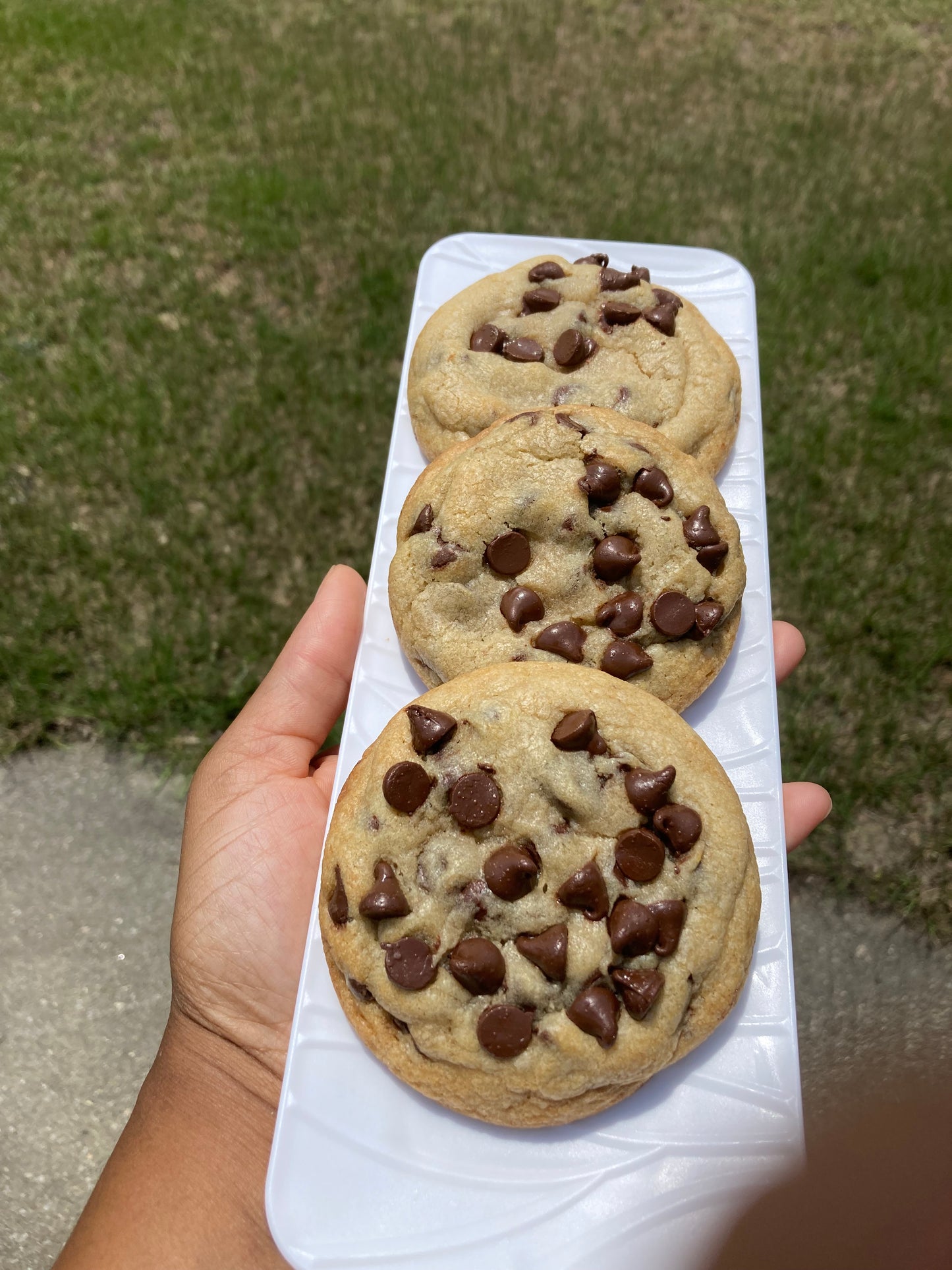 1/2 Dozen Chocolate Chip Cookies