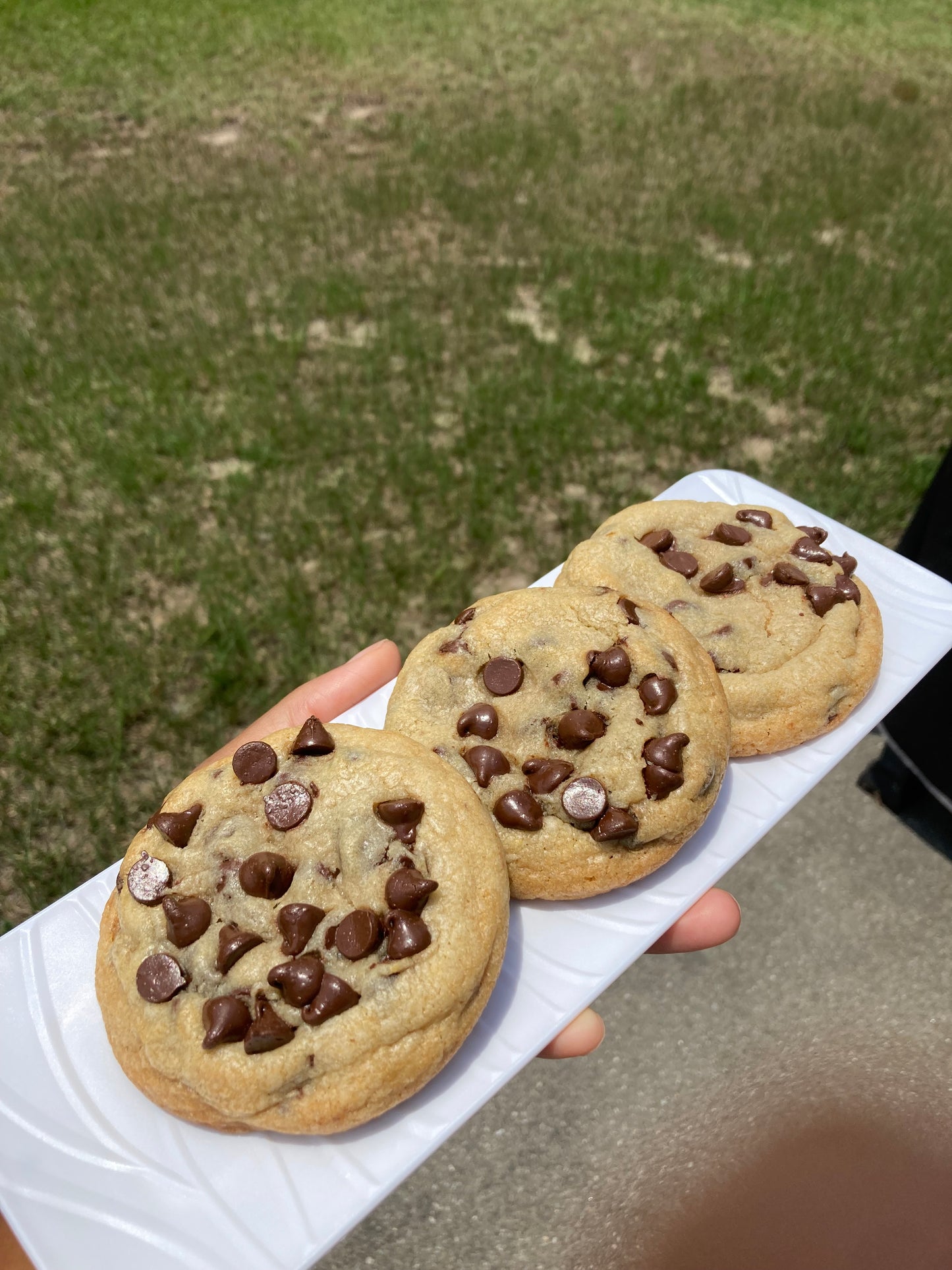 1/2 Dozen Chocolate Chip Cookies