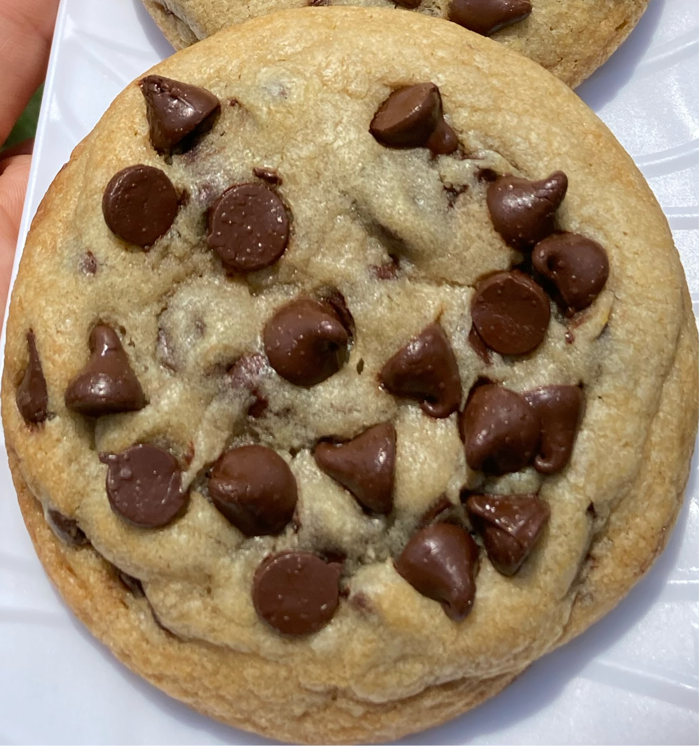 1 Dozen Chocolate Chips Cookies