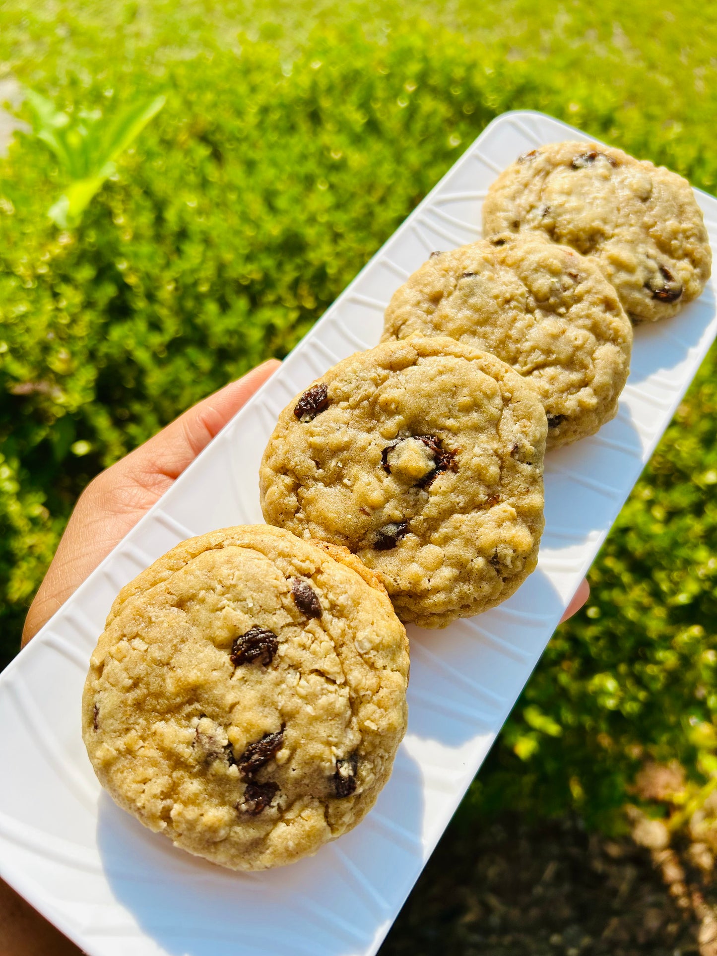1 Dozen Oatmeal Raisin