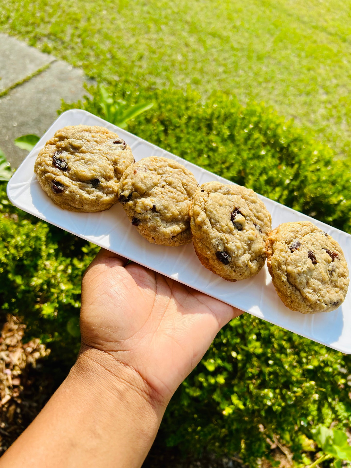 1 Dozen Oatmeal Raisin