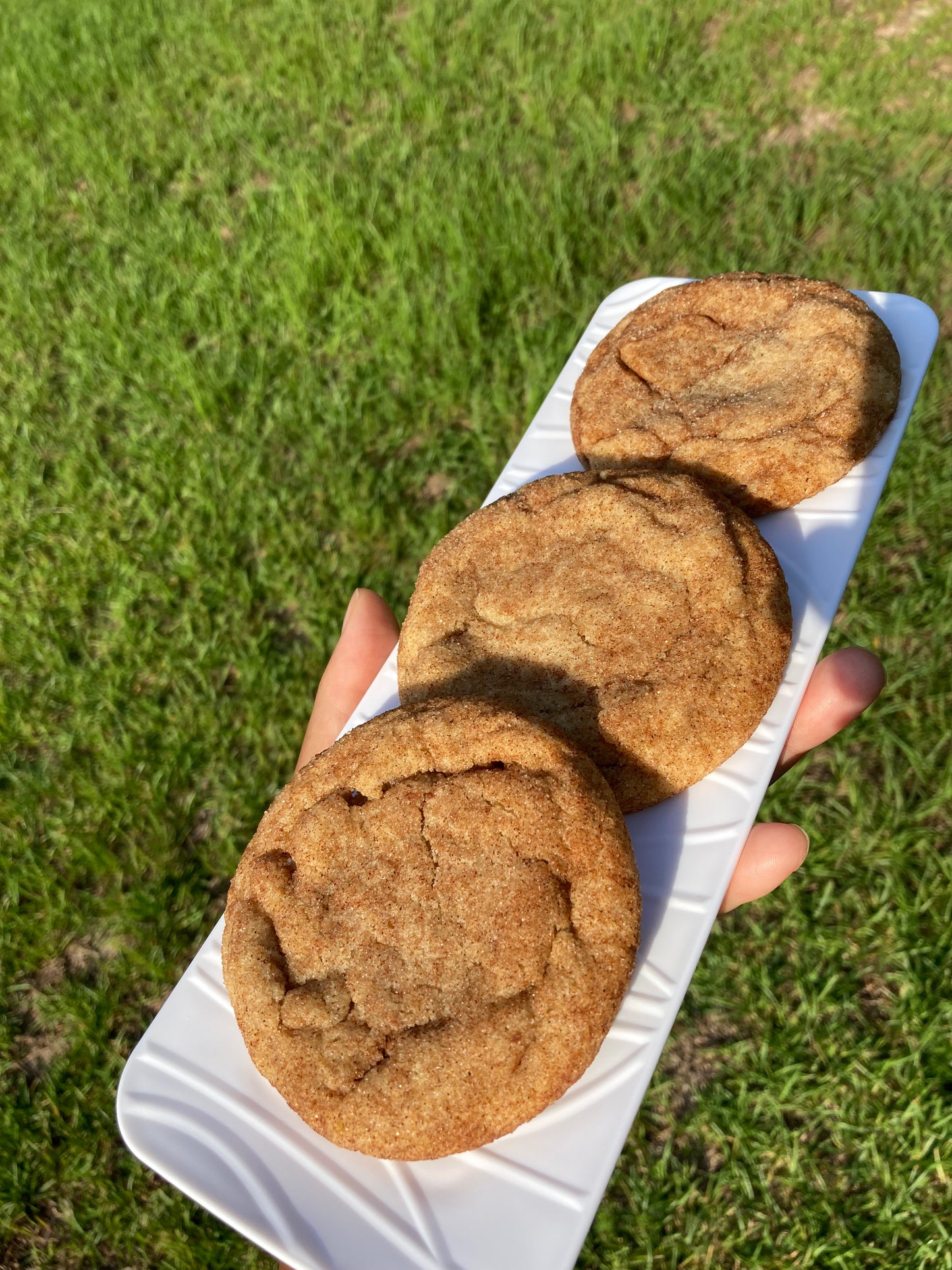 1/2 Dozen Snickers Doodle Cookies